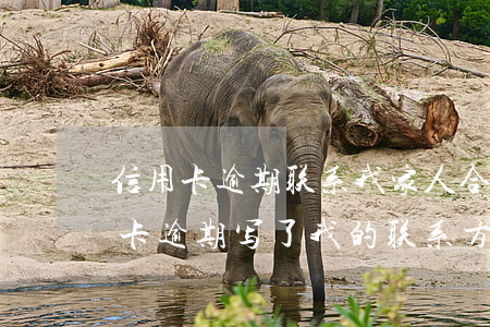 信用卡逾期联系我家人合法吗-别人的信用卡逾期,写了我的联系方式