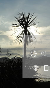 信用卡逾期聯(lián)系不到可以找村委嗎-信用卡逾期聯(lián)系不到可以找村委嗎怎么辦