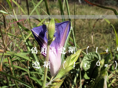 信用卡逾期聯(lián)系不到我(信用卡逾期聯(lián)系不到我現(xiàn)在銀行說要上門怎么辦)