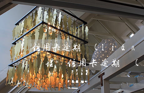信用卡逾期聯(lián)系不到本人怎么處理-信用卡逾期聯(lián)系不到本人怎么處理呢