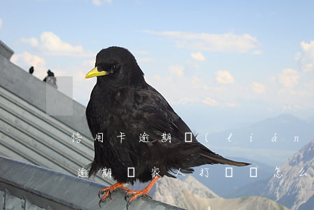 信用卡逾期聯(lián)系了家人(信用卡逾期給家人打電話怎么辦)