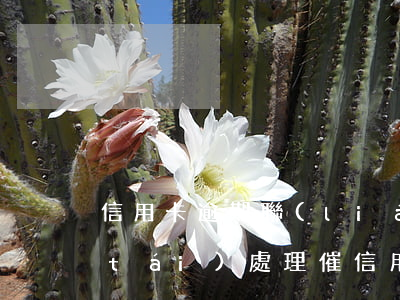 信用卡逾期聯(lián)系人工說后臺(tái)處理(催信用卡逾期的工作人員)