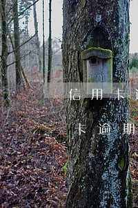 信用卡逾期聯(lián)系單位-因信用卡逾期經(jīng)常收到電話協(xié)商