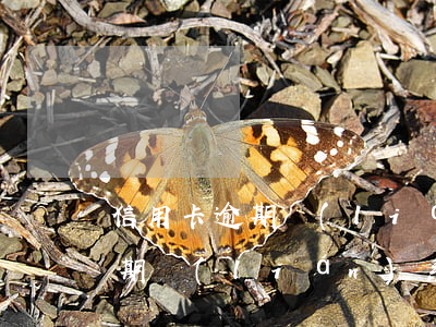 信用卡逾期聯(lián)系家人(信用卡逾期聯(lián)系家人是不是正確的)