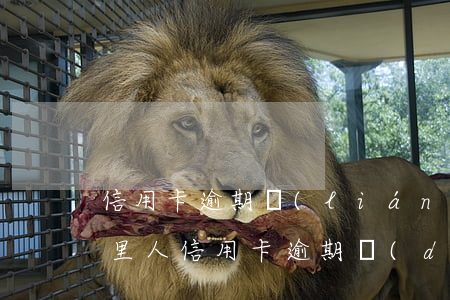 信用卡逾期聯(lián)系家人違法嗎(家里人信用卡逾期,對(duì)親人有影響嗎)
