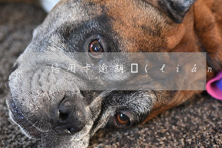 信用卡逾期聯(lián)系銀行有用嗎