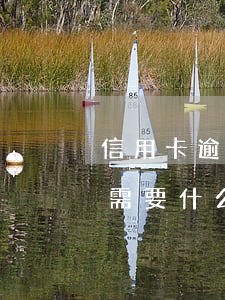 信用卡逾期聯合起訴的條件(信用卡逾期起訴需要什么條件)