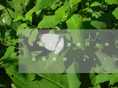 信用卡逾期聰什么時(shí)候算(信用卡逾期幾個(gè)小時(shí)算逾期嗎)