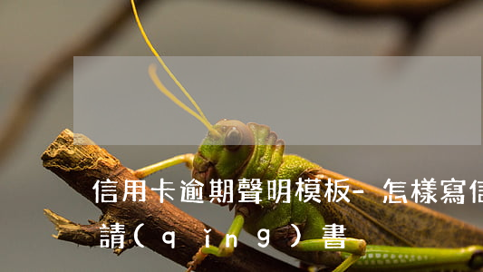 信用卡逾期聲明模板-怎樣寫信用卡逾期申請(qǐng)書