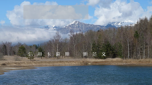信用卡逾期聲明范文