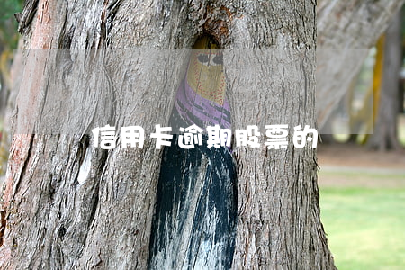 信用卡逾期股票的錢會凍結嗎