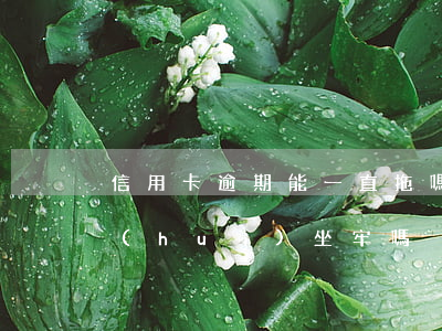 信用卡逾期能一直拖嗎(欠信用卡逾期不還會(huì)坐牢嗎)