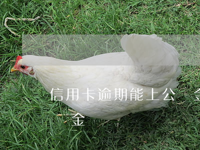 信用卡逾期能上公積金嗎-有逾期可以交公積金嗎
