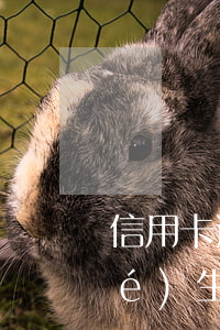信用卡逾期能上大學(xué)嗎(學(xué)生信用卡逾期會(huì)怎么樣)