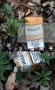 信用卡逾期能上社保 欠信用卡能交社保嗎