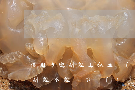信用卡逾期能上私立學(xué)校嗎(有逾期能不能辦下來(lái)信用卡)