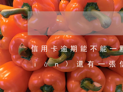 信用卡逾期能不能一點(diǎn)點(diǎn)還(有一張信用卡逾期了怎么辦)