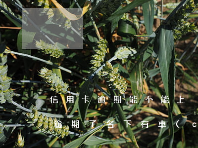 信用卡逾期能不能上戶車(chē)(信用卡逾期了名下有車(chē)可以過(guò)戶嗎)