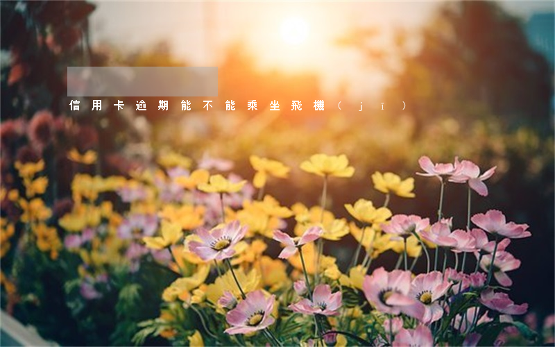 信用卡逾期能不能乘坐飛機(jī)
