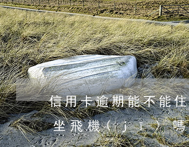 信用卡逾期能不能住酒店 有信用卡逾期可以坐飛機(jī)嗎