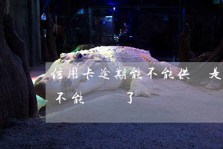 信用卡逾期能不能供車(是不是信用卡逾期就不能買車了)