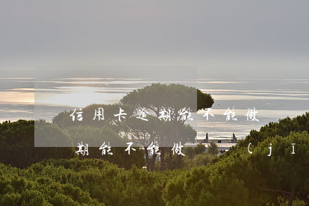 信用卡逾期能不能做飛機(jī)(信用卡逾期能不能做飛機(jī))