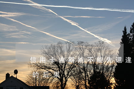 信用卡逾期能不能先還違約金(逾期還信用卡的后果)