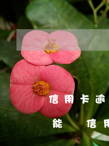 信用卡逾期能不能全部還清(銀行逾期還清了能辦信用卡嗎)