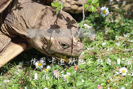 信用卡逾期能不能再辦信用卡(逾期還能不能辦信用卡)