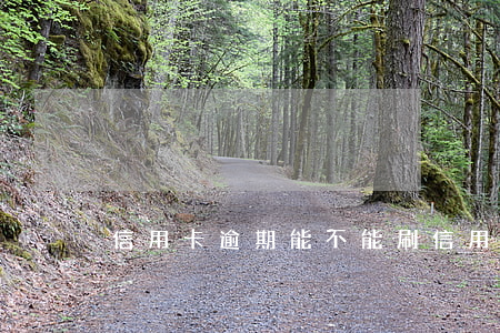 信用卡逾期能不能刷(信用卡逾期能不能刷車)