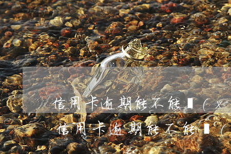 信用卡逾期能不能協(xié)商停息掛賬(信用卡逾期能不能協(xié)商停息掛賬)