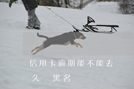 信用卡逾期能不能去韓國(韓國信用卡逾期多久會黑名單)