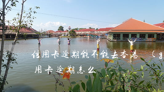 信用卡逾期能不能去香港(國(guó)外信用卡逾期怎么辦)