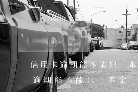 信用卡逾期能不能只還本金還本息-信用卡逾期能不能只還本金還本息呢