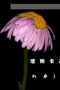 信用卡逾期能不能坐動(dòng)車(chē)(信用卡逾期能不能坐火車(chē))