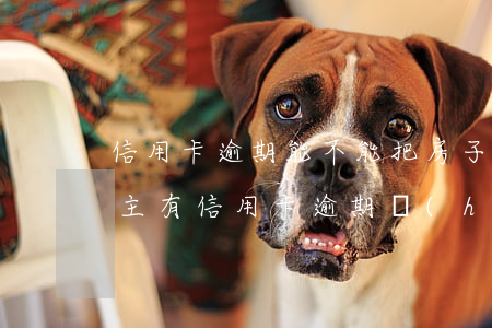 信用卡逾期能不能把房子賣(mài)掉(房主有信用卡逾期會(huì)影響賣(mài)房子過(guò)戶(hù)嗎)