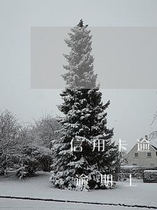 信用卡逾期能不能撤銷(xiāo)（信用卡逾期上報(bào)人行能撤銷(xiāo)嗎）