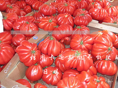 信用卡逾期能不能改账单(能修改信用卡的账单日吗)