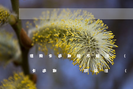 信用卡逾期能不能注冊(cè)法人(有信用卡逾期記錄可以注冊(cè)公司嗎)