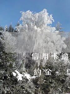 信用卡逾期能不能申請(qǐng)減免違約金-信用卡逾期能不能申請(qǐng)減免違約金呢