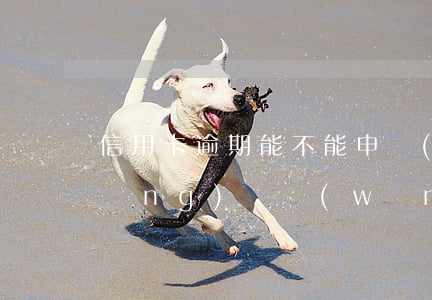 信用卡逾期能不能申請(qǐng)網(wǎng)貸(網(wǎng)貸逾期還了能申請(qǐng)信用卡嗎)