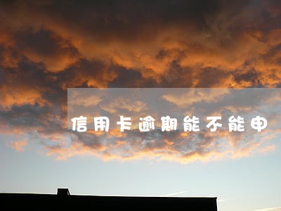 信用卡逾期能不能申請京東白條