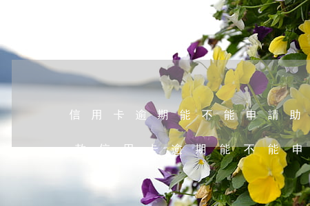 信用卡逾期能不能申請助學(xué)金貸款（信用卡逾期能不能申請助學(xué)金）