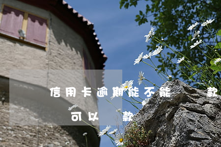 信用卡逾期能不能貸車款(信用卡逾期名下有車可以貸款嗎)