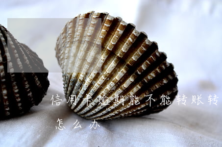 信用卡逾期能不能转账(转账到过期的信用卡怎么办)