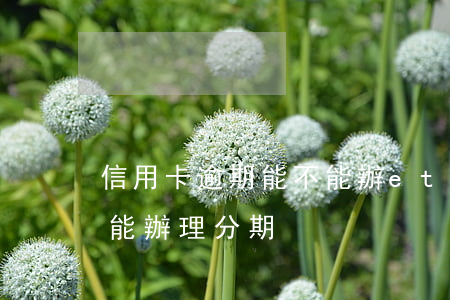 信用卡逾期能不能辦etc 信用卡逾期能不能辦理分期