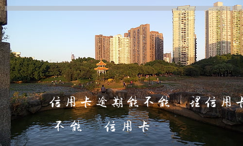 信用卡逾期能不能辦理信用卡-有過逾期能不能辦信用卡