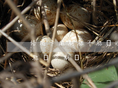 信用卡逾期能不能辦理分期還款 貸款逾期還能辦分期嗎