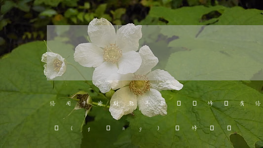 信用卡逾期能不能辦裝修貸(有信用卡可以申請(qǐng)裝修貸嗎)