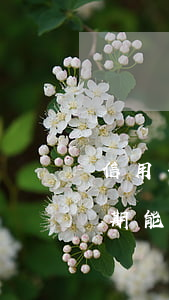 信用卡逾期能不能辦護(hù)照(信用卡逾期能不能辦護(hù)照)